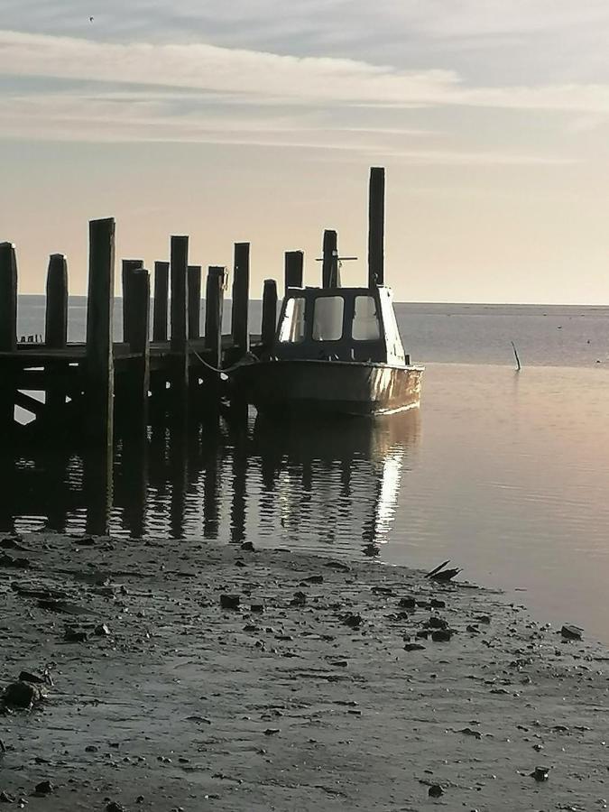 Dock10Texel Bed & Breakfast De Cocksdorp  Bagian luar foto